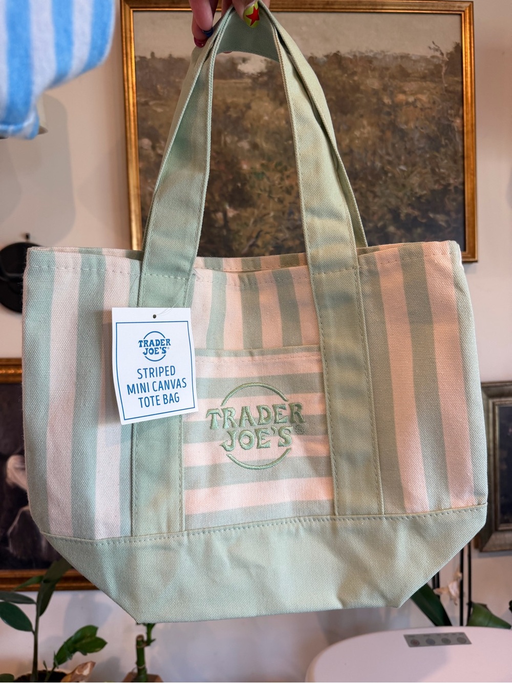 Trader Joe's Green Striped Mini Canvas Tote Bag